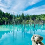 【富良野】花畑に青い池！ 北海道らしい絶景揃いなの！【美瑛】