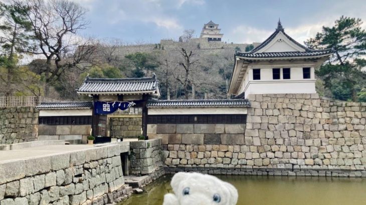 【丸亀】石垣の総高６０ｍで日本一！ 江戸時代から残るお城なの！