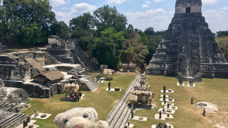 【グアテマラ①】マヤ文明のピラミッドの頂上から熱帯雨林を見下ろすなの！【ティカル・キリグア】